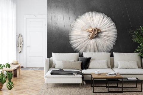 Fototapeta Buty Do Baletu Na Białej Tutu Vinyl Strukturalny 312x219 FT-3827-VSXXL