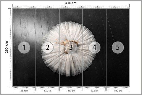 Fototapeta Buty Do Baletu Na Białej Tutu Vinyl Strukturalny 416x290 FT-3827-VSXXXXL