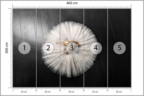 Fototapeta Buty Do Baletu Na Białej Tutu Vinyl Strukturalny 460x300 FT-3827-VS12