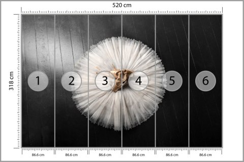 Fototapeta Buty Do Baletu Na Białej Tutu Vinyl Strukturalny 520x318 FT-3827-VSXXXXXL