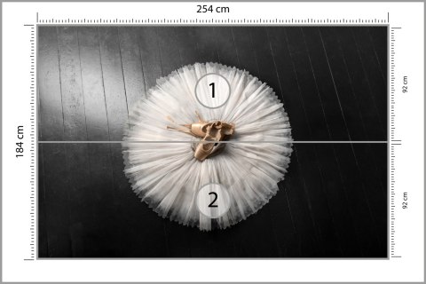 Fototapeta Buty Do Baletu Na Białej Tutu Flizelina Zmywalna 254x184 FT-3827-VEML4