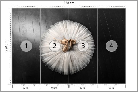 Fototapeta Buty Do Baletu Na Białej Tutu Flizelina Zmywalna 368x280 FT-3827-VEML10