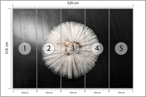 Fototapeta Buty Do Baletu Na Białej Tutu Flizelina Zmywalna 520x318 FT-3827-VEMLXXXXXL