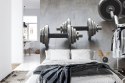 Fototapeta Hantle I Sztangi Flizelina Zmywalna 460x300 FT-3939-VEML12
