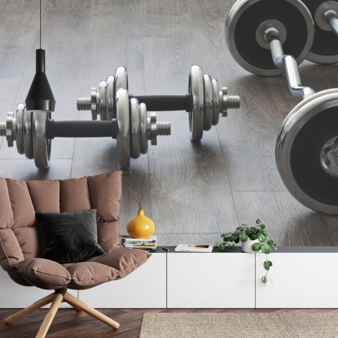 Fototapeta Hantle I Sztangi Vinyl Gładki 520x318 FT-3939-VGXXXXXL