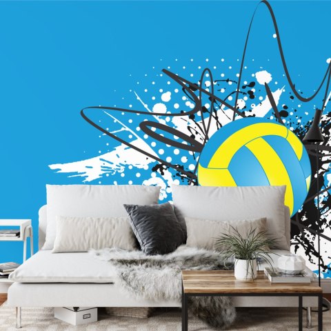 Fototapeta Piłka Siatkowa Na Tle Abstrakcyjnych Wzorów Vinyl Strukturalny 360x240 FT-3167-VS360-240