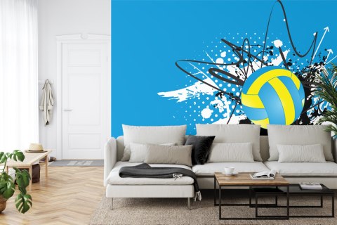 Fototapeta Piłka Siatkowa Na Tle Abstrakcyjnych Wzorów Vinyl Strukturalny 360x240 FT-3167-VS360-240