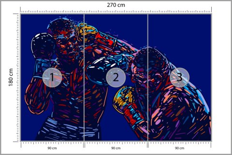 Fototapeta Abstrakcyjna Walka Bokserów Flizelina 270x180 FT-3439-VE270-180