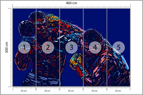 Fototapeta Abstrakcyjna Walka Bokserów Flizelina 460x300 FT-3439-V12