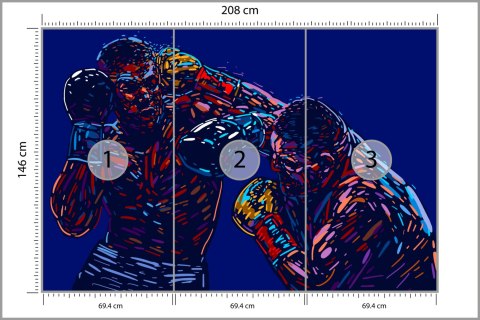 Fototapeta Abstrakcyjna Walka Bokserów Tapeta Samoprzylepna 208x146 FT-3439-SKXL