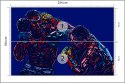 Fototapeta Abstrakcyjna Walka Bokserów Tapeta Samoprzylepna 254x184 FT-3439-SK4