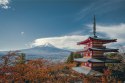 Fototapeta Japońska Pagoda Jesienią Flizelina 254x184 FT-2659-V4