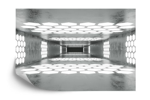 Fototapeta 3D Tunel - Abstrakcja Flizelina 312x219 FT-57-VEXXL