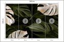 Fototapeta Białe I Zielone Liście Monstery Flizelina 360x240 FT-4038-VE360-240