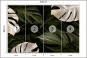 Fototapeta Białe I Zielone Liście Monstery Flizelina 368x280 FT-4038-V10