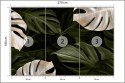 Fototapeta Białe I Zielone Liście Monstery Flizelina Zmywalna 270x180 FT-4038-VEML270-180