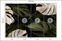 Fototapeta Białe I Zielone Liście Monstery Flizelina Zmywalna 416x254 FT-4038-VEMLXXXL
