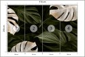 Fototapeta Białe I Zielone Liście Monstery Flizelina Zmywalna 416x290 FT-4038-VEMLXXXXL