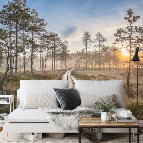 Fototapeta Drewniana Ścieżka W Lesie Vinyl Strukturalny 180x120 FT-4051-VS180-120