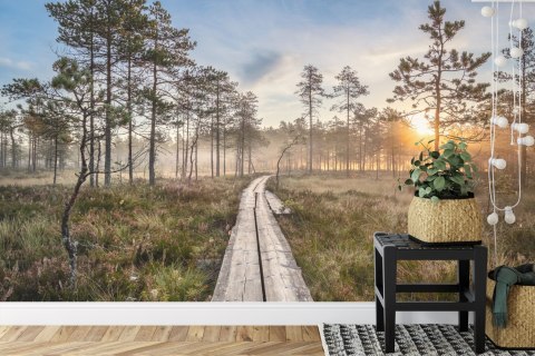 Fototapeta Drewniana Ścieżka W Lesie Vinyl Strukturalny 180x120 FT-4051-VS180-120