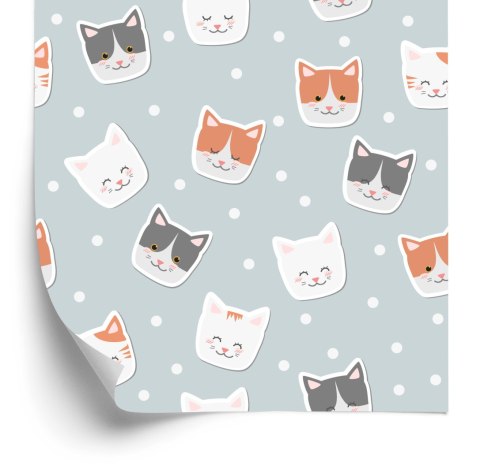 Tapeta Dla Dzieci - Kotki I Kółka Flizelina 53x1000 TR-1590-VER-53