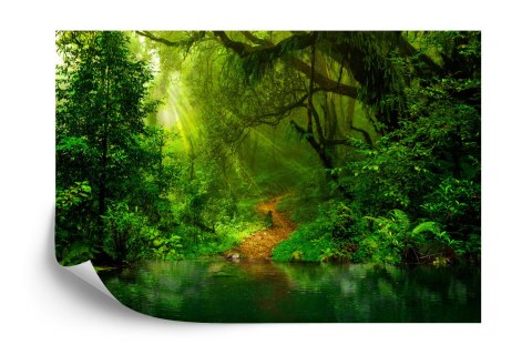 Fototapeta Las Tapeta Samoprzylepna 368x254 FT-448488-SK8