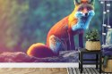 Fototapeta Fox Sitting In The Woods With Weird Eyes Flizelina 254x184 FT-448489-V4