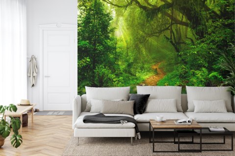 Fototapeta Las Flizelina Zmywalna 405x270 FT-448488-VEML405-270