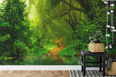 Fototapeta Las Vinyl Gładki 300x210 FT-448488-VG300-210