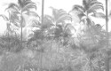 Fototapeta Tropical Trees And Leaves In Foggy Forest Wallpaper Design - 3D Tapeta Samoprzylepna 368x280 FT-448495-SK10