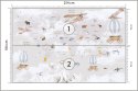Fototapeta Animals World Map For Kids Wallpaper Design Flizelina Zmywalna 254x184 FT-448497-VEML4