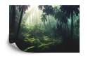 Fototapeta Dark Rainforest, Sun Rays Through The Trees, Rich Jungle Greenery. Atmospheric Fantasy Forest. 3D . Flizelina 254x184