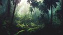 Fototapeta Dark Rainforest, Sun Rays Through The Trees, Rich Jungle Greenery. Atmospheric Fantasy Forest. 3D . Flizelina 254x184