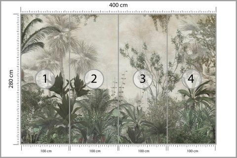 Fototapeta Tropical Trees And Leaves Wallpaper Design In Foggy Forest - 3D Vinyl Gładki 400x280 FT-448525-VG400-280