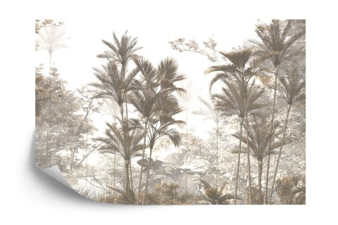 Fototapeta Tropical Trees And Leaves Wallpaper Design In Foggy Forest - 3D Flizelina Zmywalna 368x280 FT-448526-VEML10