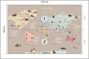 Fototapeta Animals World Map For Kids Wallpaper Design Flizelina 254x184 FT-448528-V4