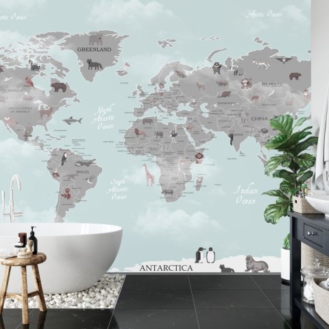 Fototapeta Animals World Map For Kids Wallpaper Design Flizelina 312x219 FT-448529-VEXXL