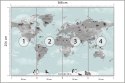 Fototapeta Animals World Map For Kids Wallpaper Design Flizelina Zmywalna 368x254 FT-448529-VEML8
