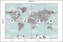 Fototapeta Animals World Map For Kids Wallpaper Design Flizelina Zmywalna 400x280 FT-448529-VEML400-280
