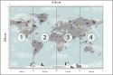 Fototapeta Animals World Map For Kids Wallpaper Design Flizelina Zmywalna 416x290 FT-448529-VEMLXXXXL