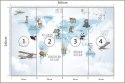 Fototapeta Animals World Map For Kids Wallpaper Design Flizelina 360x240 FT-448532-VE360-240