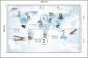 Fototapeta Animals World Map For Kids Wallpaper Design Flizelina Zmywalna 254x184 FT-448532-VEML4