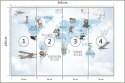 Fototapeta Animals World Map For Kids Wallpaper Design Flizelina Zmywalna 360x240 FT-448532-VEML360-240