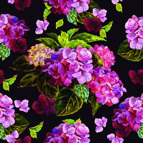 Tapeta Piwonie Z Zielonymi Liśćmi