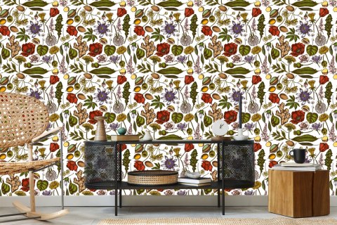 Tapeta Rośliny Polne Z Ziołami I Przyprawami