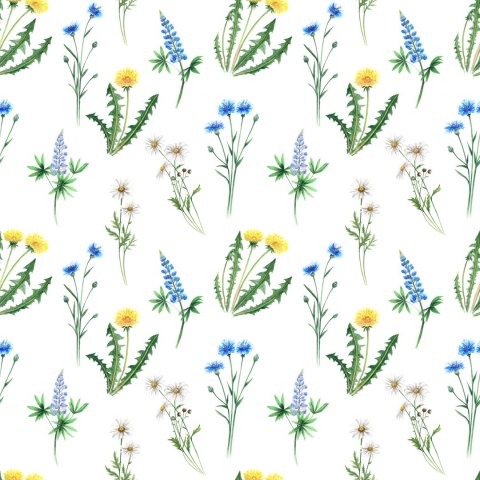 Tapeta Stokrotka Z Polnymi Kwiatami