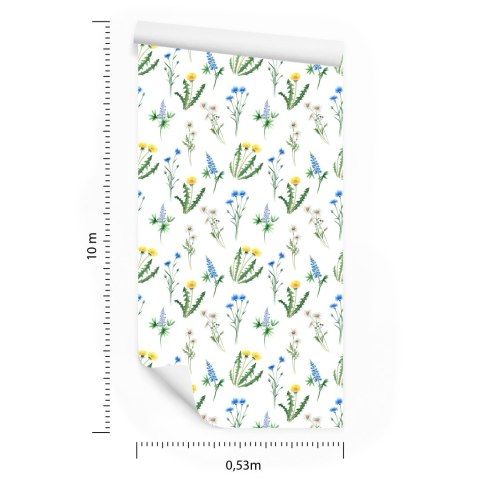 Tapeta Stokrotka Z Polnymi Kwiatami