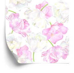 Tapeta Różowe I Białe Tulipany