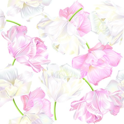 Tapeta Różowe I Białe Tulipany