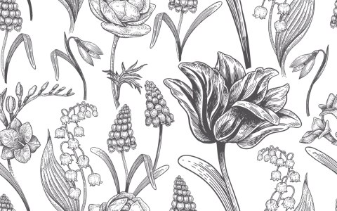 Tapeta Tulipany Z Kwiatami Polnymi